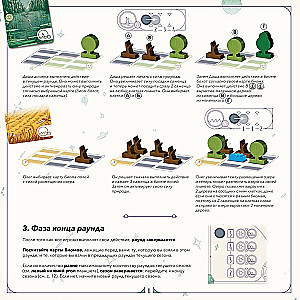 Настольная игра - Evergreen. Зелёный мир